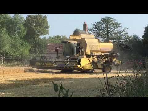 New Holland TF78 Harvesting wheat in Black Smith green Suffolk