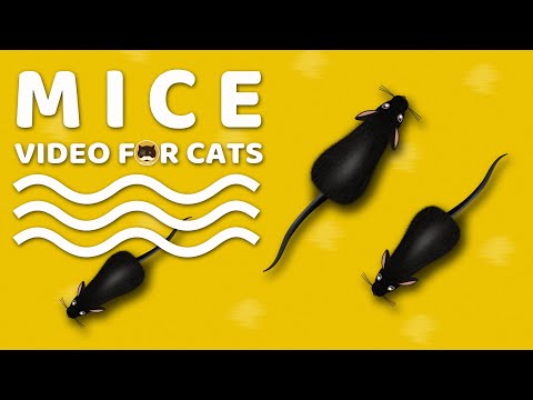 CAT GAMES - Mice. Mouse Sounds Video for Cats | CAT &amp; DOG TV.