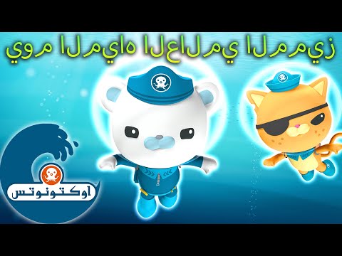 أوكتونوتس | ?? يوم المياه العالمي المميز | حلقات مجمعة