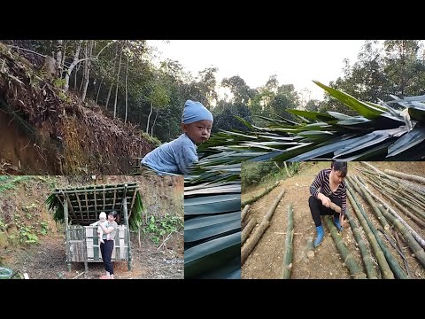 Cut down trees, use palm leaves to make a bamboo chicken coop for me to raise chickens...