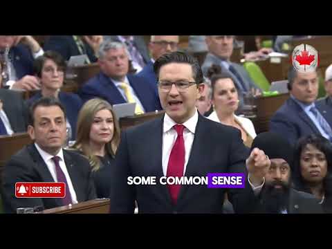 Pierre Poilievre - Canada&rsquo;s opioid overdose crisis