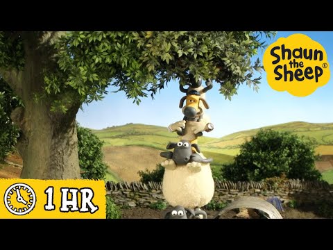 Shaun the Sheep 🐑 Fun on The Farm - Cartoons for Kids 🐑 Full Episodes Compilation [1 hour]