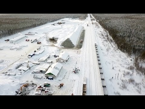 Московский мусор в архангельских лесах | НЕИЗВЕСТНАЯ РОССИЯ