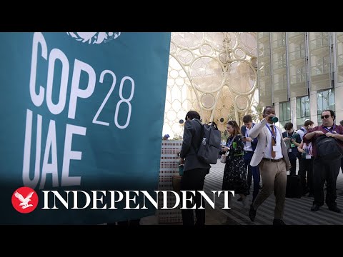 Live: World leaders attend second day of Cop28 in Dubai