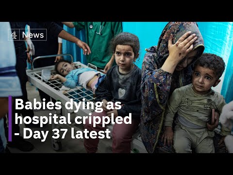 Clinging onto life: the premature babies trapped in Gaza hospital