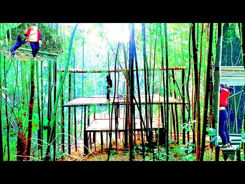 The girl alone built a house out of bamboo and lived alone in the forest