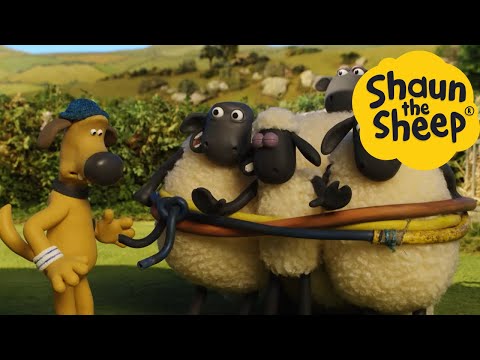 Shaun the Sheep 🐑 Captured Sheep - Cartoons for Kids 🐑 Full Episodes Compilation [1 hour]