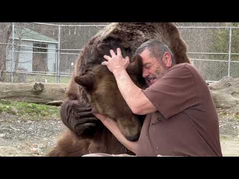 Leo the bear and Jim having a discussion&hellip;until Leo get s bored with it and decides to take a nap.