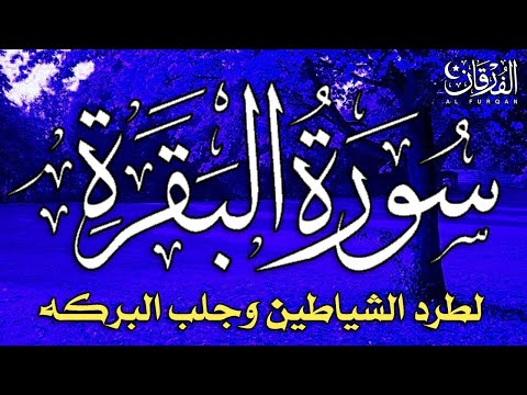 سورة البقرة كاملة لطرد الشياطين من منزلك وجلب البركه باذن الله - surat albaqra