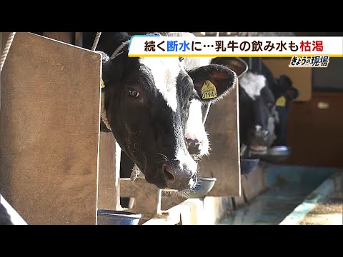 断水続く牧場「牛がずっと水をくれと鳴く」牛乳の質も悪くなり廃棄に&hellip;1日50トン必要（2024年1月11日）