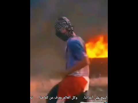 الاغنيه السويديه لفلسطين مترجمه كامله