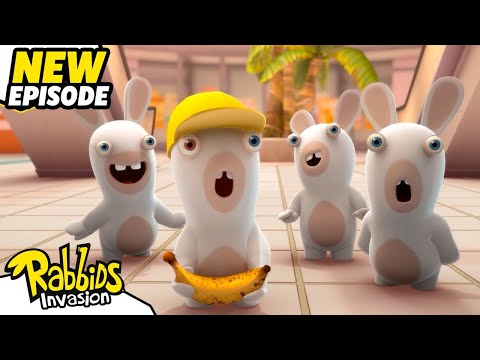 Elevatorus Rabbidinus (S01E11) | RABBIDS INVASION | New episodes | Cartoon for Kids