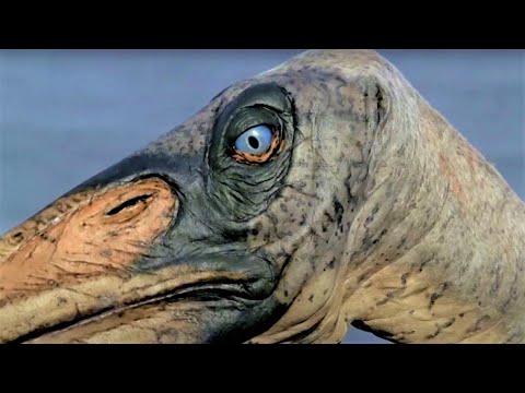 Dinosaur King Of The Skies | Walking With Dinosaurs | BBC Earth Kids