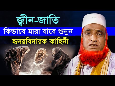 জিন জাতি কিভাবে মারা যাবে? আহ! হৃদয়বিদারক কাহিনী | বজলুর রশিদ | Bozlur Roshid New Bangla Waz 2022