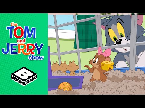 Jerry the Hamster | Tom &amp; Jerry | Boomerang UK