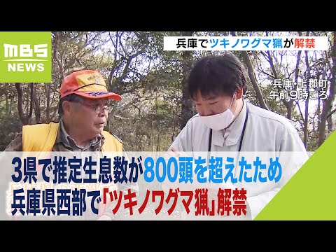 兵庫県西部で「ツキノワグマ猟」解禁&amp;hellip;3県で推定生息数が基準となる800頭を超えたため（2023年11月15日）