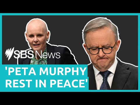 Labor MP Peta Murphy dies aged 50 following a years-long battle with cancer | SBS News