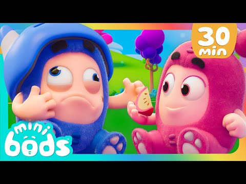 🥭 Wait until it's ripe! Healthy Fruits 🥭  | @Minibods | Funny Comedy Cartoon Episodes for Kids