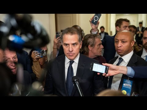 Reporter stuns Hunter Biden by asking 'what kind of crack' he smokes