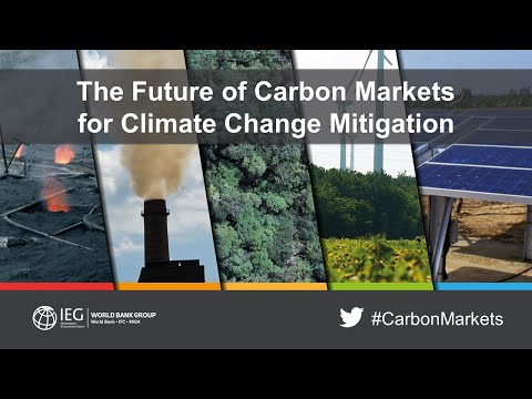 The Future of Carbon Markets for Climate Change Mitigation, February 5, 2019