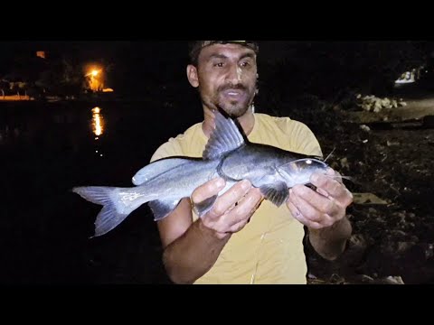 Catching large fish from the Nile in Egypt with worms