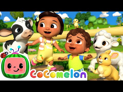 Baby Animal Dance | CoComelon Nursery Rhymes &amp; Kids Songs