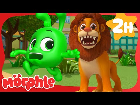 Lions Are Orphley Scary! 🦁 | Morphle | Preschool Learning | Moonbug Tiny TV