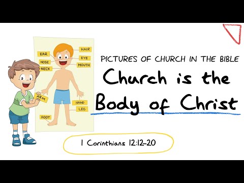 Church is the Body of Christ - Pictures of Church in the Bible (Kids Talk)