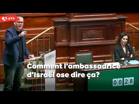 &laquo; Comment l'ambassadrice d'Isra&euml;l ose dire &ccedil;a? &raquo;