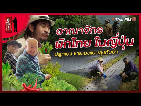 อาณาจักรผักไทยในญี่ปุ่น ปลูกเอง ขายเองแบบลุงกับป้า : ดูให้รู้ Dohiru [CC]