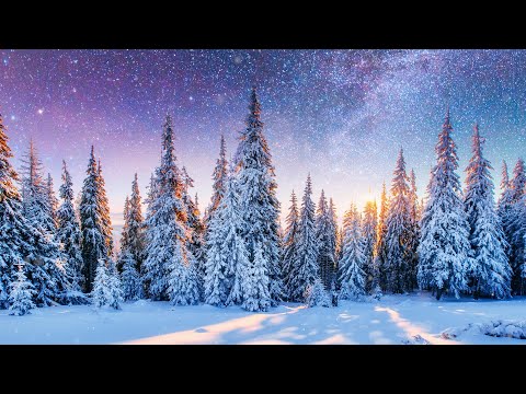 Peaceful Instrumental Christmas Music: Relaxing Christmas music &quot;The Christmas Pines&quot; Tim Janis