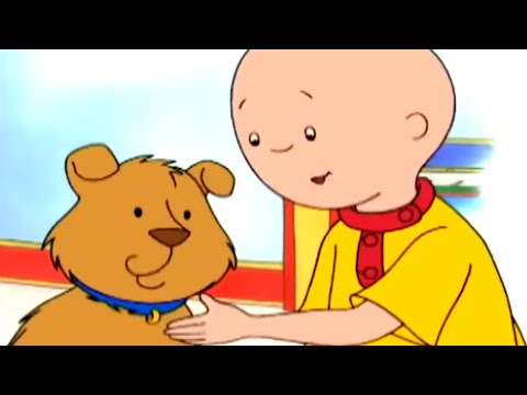 Caillou's neuer Freund | Caillou auf Deutsch