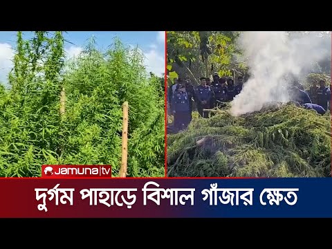 পুড়িয়ে ধ্বংস করা হলো ৩০ কোটি টাকা মূল্যের গাঁজা | Khagrachari | Jamuna TV