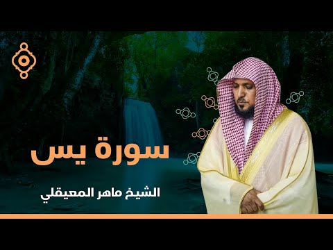 Surah Yasin Maher Al Muaqily-سورة يس القارئ الشيخ ماهر المعيقلي 🕋🌙