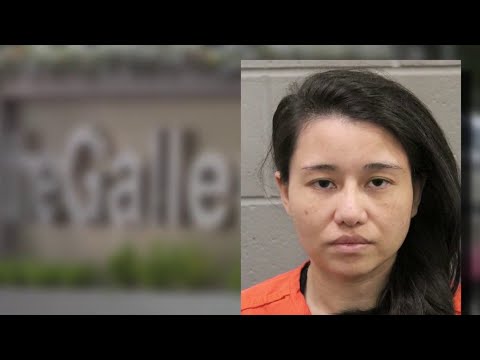 Galleria stabbing suspect allegedly showed up at ex-husband&rsquo;s door in strange outfit to move bac...