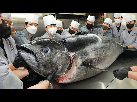 Amazing! 300kg Giant Bluefin Tuna Cutting Show and rice topped with tuna / Korean street food