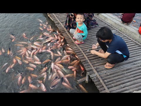 Gavin feeds the fish - Gavin cries and his feet got into the mud - DMG Kids Family Fun Walk