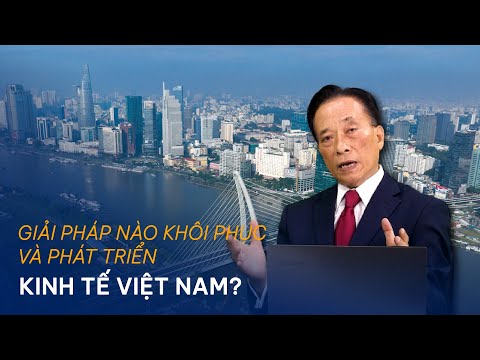 Giải ph&aacute;p n&agrave;o kh&ocirc;i phục v&agrave; ph&aacute;t triển kinh tế Việt Nam hiện nay? | Chuyển động kinh tế