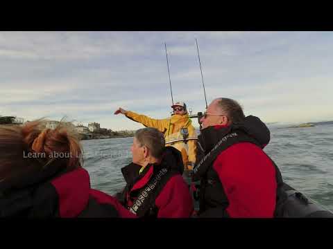 Goat Boat Tours / Dublin Bay