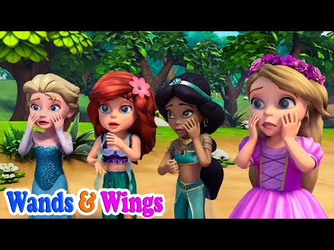 Princess Magic Shoe | The Princess Lost Her Shoe  - Wands &amp; Wings