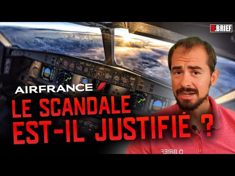 AIR FRANCE: COMPRENDRE LE &quot;BUZZ&quot; M&Eacute;DIATIQUE  D.BRIEF FACTEUR HUMAIN #9