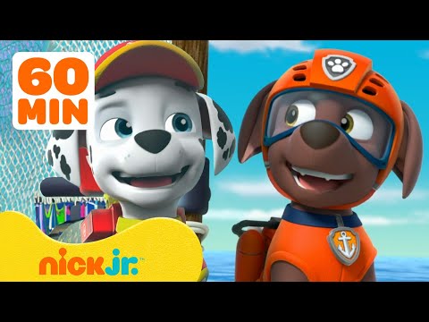 PAW Patrol Helps Adventure Bay Animals! w/ Marshall, Zuma &amp;amp; Skye | 30 Minute Compilation | Nick Jr.