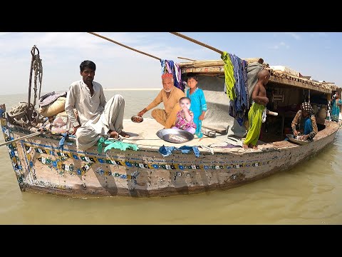 A Pakistani Village on Boats | Ancient Tribe of Indus Valley | Pakistan Village Life | Mohana Tribe