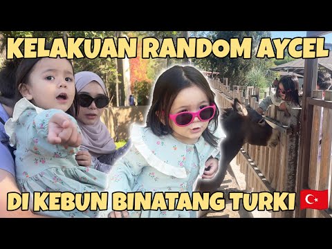 AYCEL'S AFFAIRS AT THE T&uuml;rkiye ZOO!