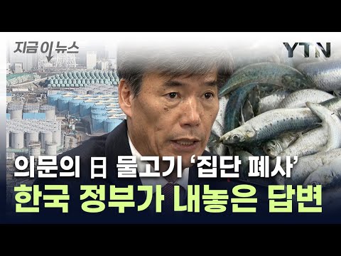 日 바다 뒤덮은 물고기 사체에...정부 &quot;이상 無&quot; [지금이뉴스] / YTN