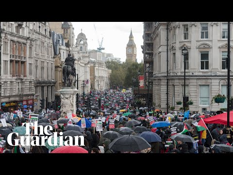 Pro-Palestine protests take place in London for second consecutive week