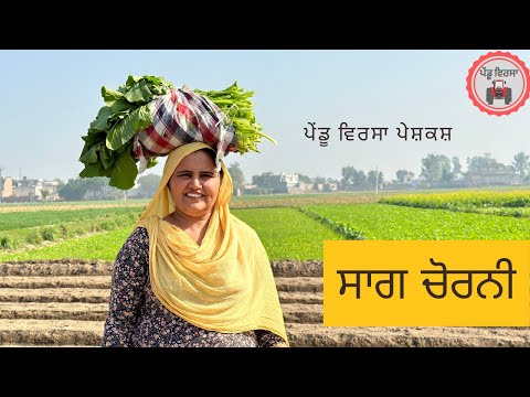 ਸਾਗ ਚੋਰਨੀ|Ep 22 |new punjabi movie 2022 | Punjabi Natak |Punjabi Short Film |Mansa @PenduVirsa