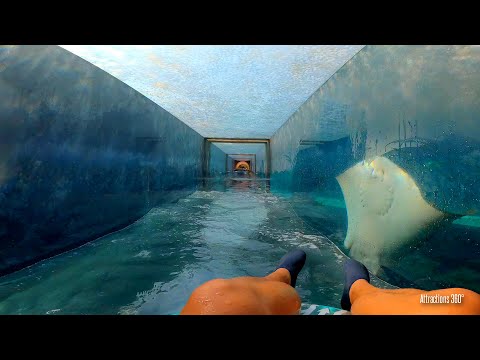 Shark &amp; Leap of Faith Water Slides | Claustrophobic Water Slide! AquaVenture Water Park