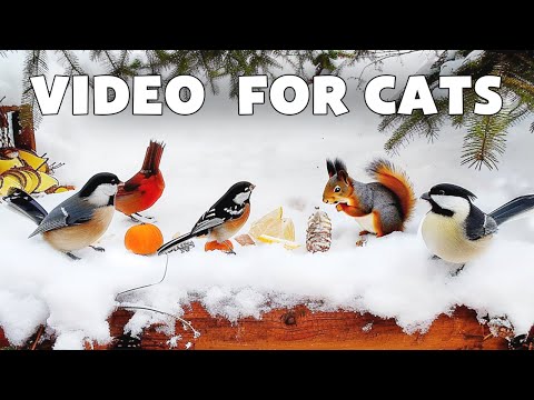 Video for Cats to Watch 🦆 Happy Birds to Have a Happy New Year &amp; Birdsong Sounds