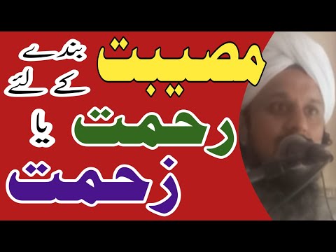 Museebat k waqt || Molana hafiz Mahmood Zeeshan Sb